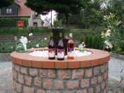 Blauer Bernburger Wein Jahrgang 2008